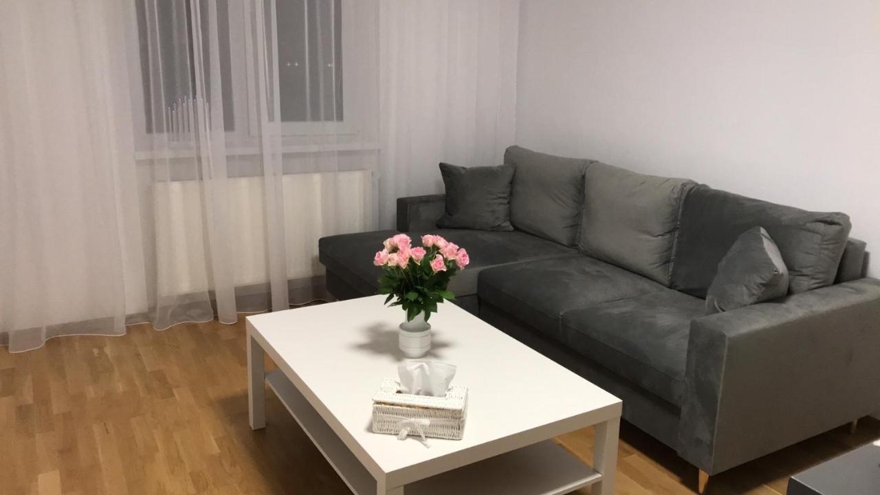 Anna'S Lovely Home 锡吉什瓦拉 外观 照片